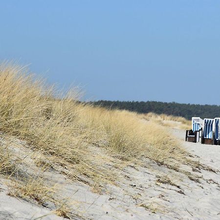 Ferienwohnungen Am Bernsteinweg Prerow Esterno foto